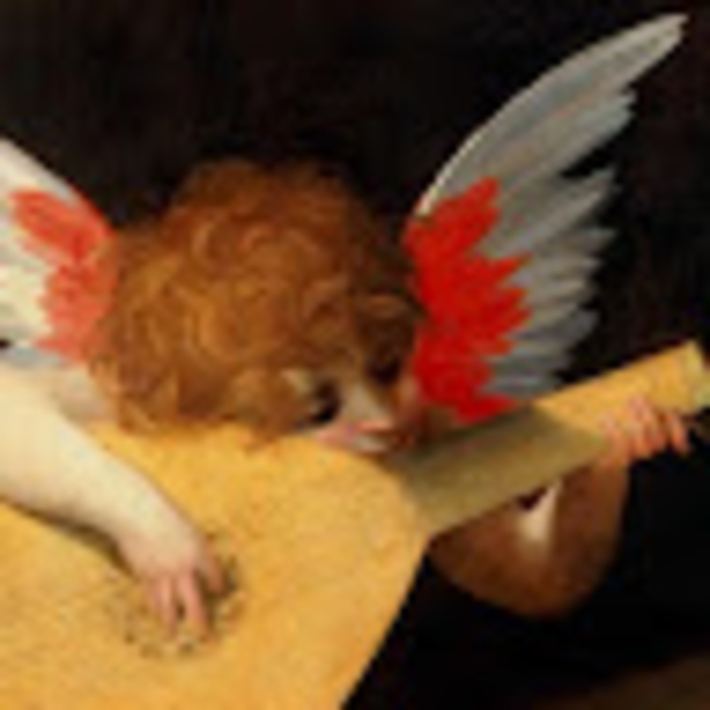 Meet your Posher, Morgan